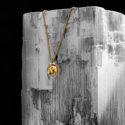 Gold Lucky Horseshoe Pendant Necklace