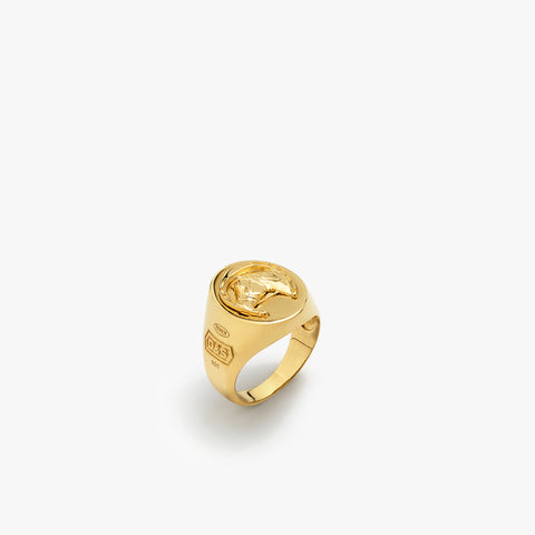 Anel de ferradura da sorte de ouro