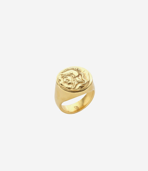 Gold Spartan Ring